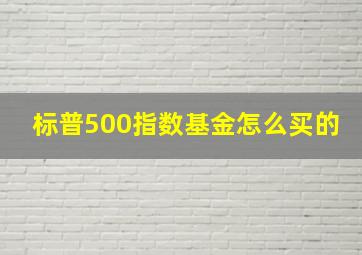 标普500指数基金怎么买的