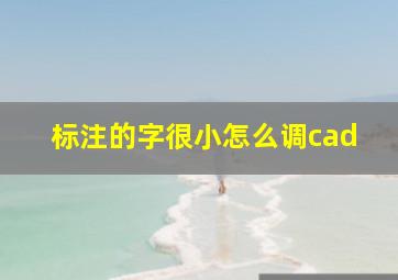 标注的字很小怎么调cad