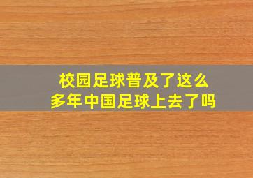 校园足球普及了这么多年中国足球上去了吗