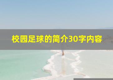 校园足球的简介30字内容