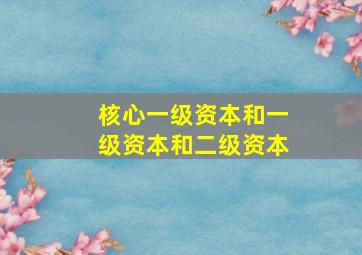 核心一级资本和一级资本和二级资本