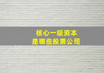 核心一级资本是哪些股票公司