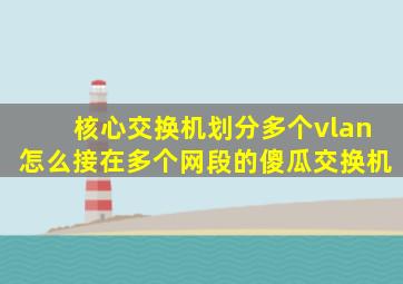 核心交换机划分多个vlan怎么接在多个网段的傻瓜交换机