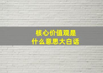 核心价值观是什么意思大白话