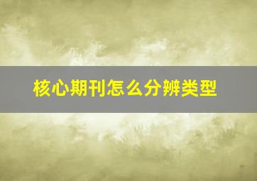 核心期刊怎么分辨类型