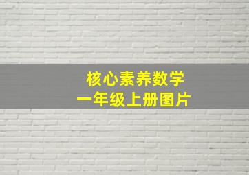 核心素养数学一年级上册图片