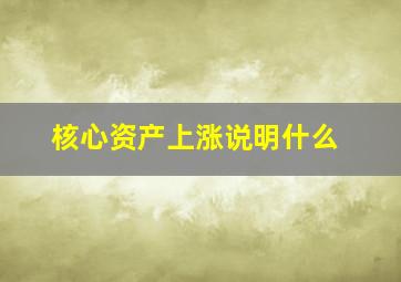 核心资产上涨说明什么