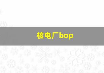 核电厂bop