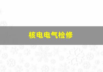 核电电气检修