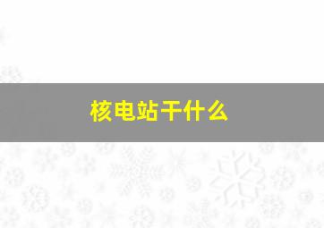 核电站干什么