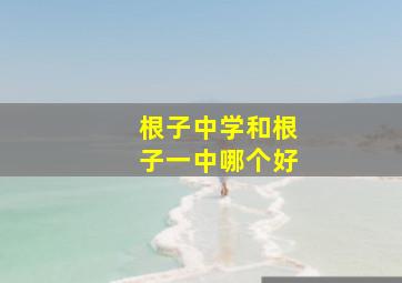 根子中学和根子一中哪个好