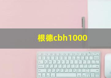 根德cbh1000