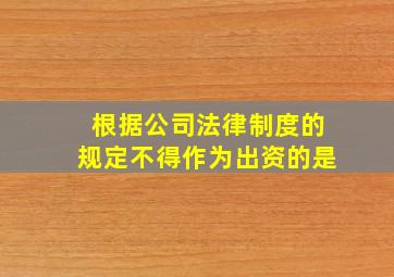 根据公司法律制度的规定不得作为出资的是