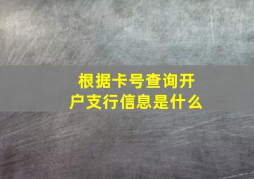 根据卡号查询开户支行信息是什么