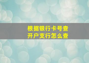 根据银行卡号查开户支行怎么查