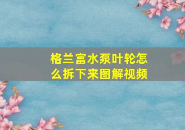 格兰富水泵叶轮怎么拆下来图解视频