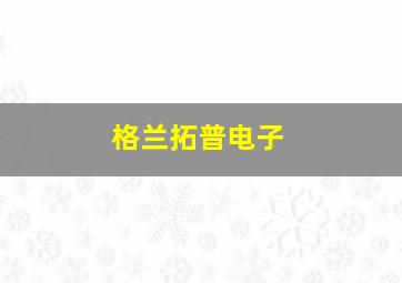 格兰拓普电子