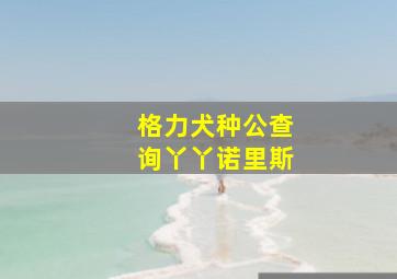 格力犬种公查询丫丫诺里斯