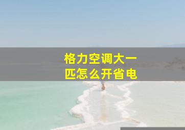 格力空调大一匹怎么开省电