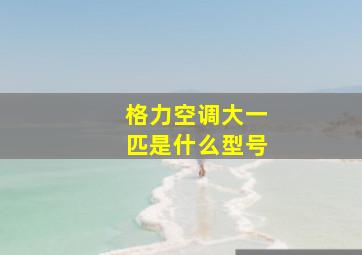 格力空调大一匹是什么型号