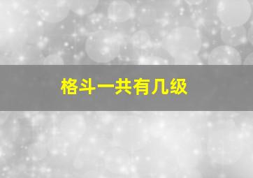 格斗一共有几级