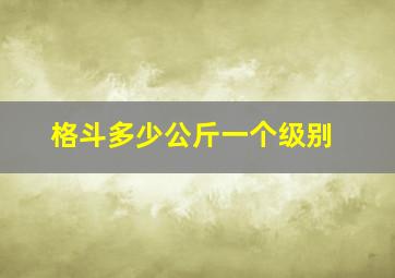 格斗多少公斤一个级别