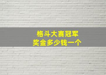 格斗大赛冠军奖金多少钱一个