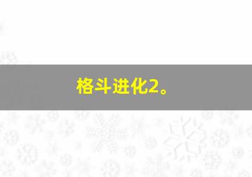 格斗进化2。