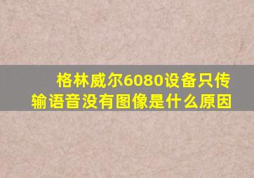 格林威尔6080设备只传输语音没有图像是什么原因