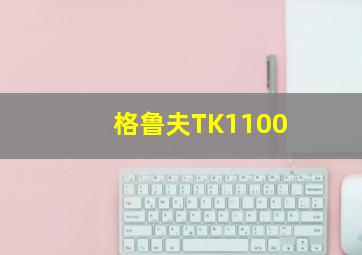 格鲁夫TK1100