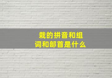 栽的拼音和组词和部首是什么