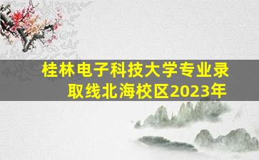 桂林电子科技大学专业录取线北海校区2023年