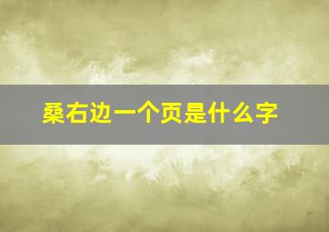 桑右边一个页是什么字