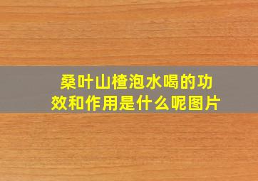 桑叶山楂泡水喝的功效和作用是什么呢图片