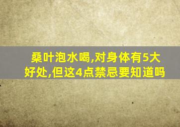 桑叶泡水喝,对身体有5大好处,但这4点禁忌要知道吗