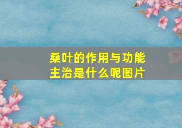 桑叶的作用与功能主治是什么呢图片