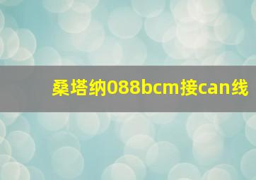 桑塔纳088bcm接can线