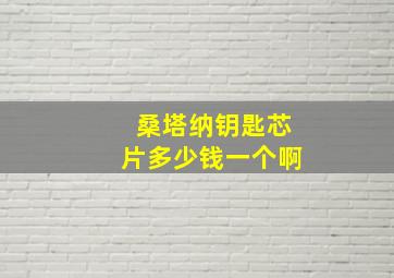 桑塔纳钥匙芯片多少钱一个啊