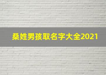 桑姓男孩取名字大全2021