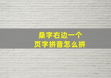 桑字右边一个页字拼音怎么拼