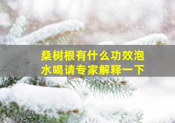 桑树根有什么功效泡水喝请专家解释一下