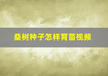 桑树种子怎样育苗视频