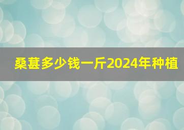 桑葚多少钱一斤2024年种植