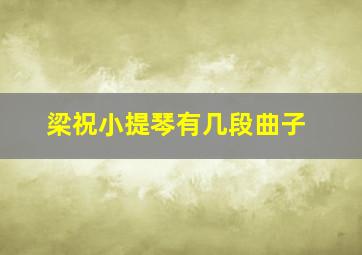 梁祝小提琴有几段曲子