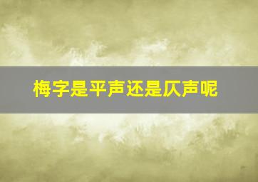 梅字是平声还是仄声呢