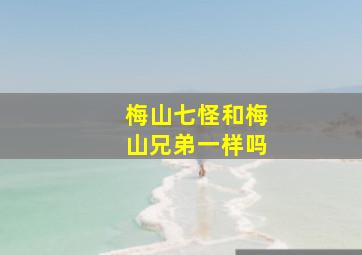 梅山七怪和梅山兄弟一样吗