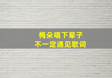 梅朵唱下辈子不一定遇见歌词