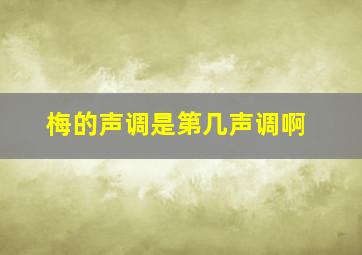 梅的声调是第几声调啊