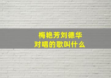 梅艳芳刘德华对唱的歌叫什么