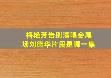 梅艳芳告别演唱会尾场刘德华片段是哪一集